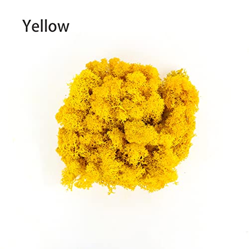 Image of Amoueterno Preserved Moss 4 Color Reindeer Moss,Total 14OZ Each Color 3.5OZ, Natural Real Green Moss DIY Kit Moss Crafts Art Wall Decor Florist Decor Yellow /Light Yellow /Brown /Orange Brown
