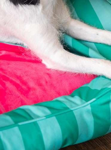 Lit pour chien lavable Rosewood à couverture intégrée pour chiot - 6