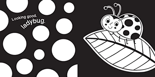 image for Duopress Hello, Garden Bugs: A High-Contrast Board Book that Helps Vis