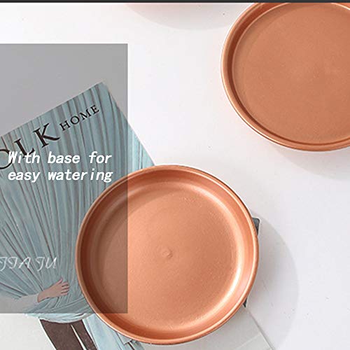 Chiwutech 7 Inch Plant Pot +5.5 Inch Planters,White Flower Pot With Drainage Hole And Saucer,Ceramic Pots For Indoor Plants,Set Of 2 #TOP3