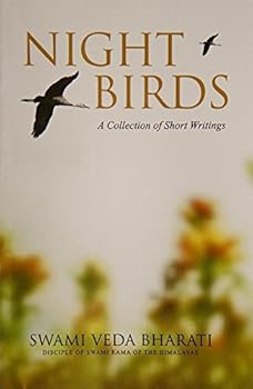 Paperback Night Birds Book