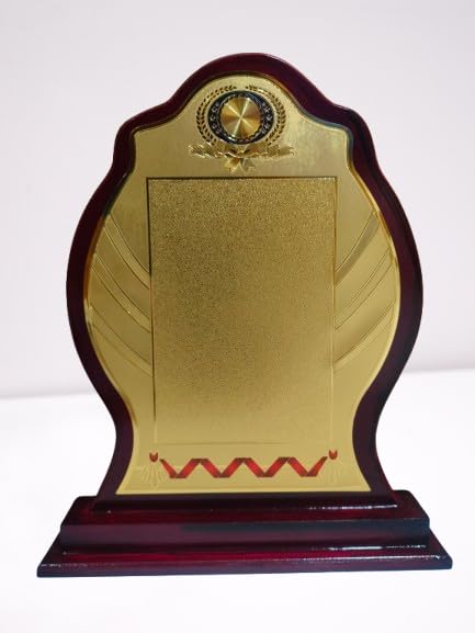 Wooden Sheild Trophy Momento 10 Inches or 25.5 Centimeters-picture-34