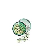 Collistar