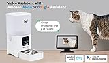 Owlet Home Smart Automatic Pet Feeder thumbnail 5