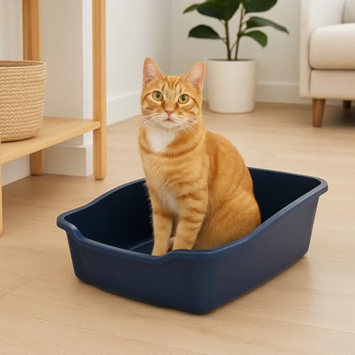 Arenero para gatos grande abierto de plástico duradero miniatura 2