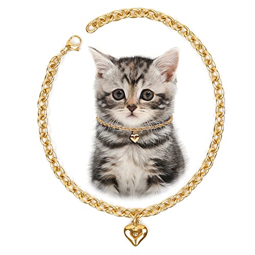 HOWWFALY Dog Collar and Cat Chain Necklace Stainless Steel Adjustable 18K Gold Heart-Shaped Necklace for Small Pets Cats Kitten Puppy (Gold 7 inch)