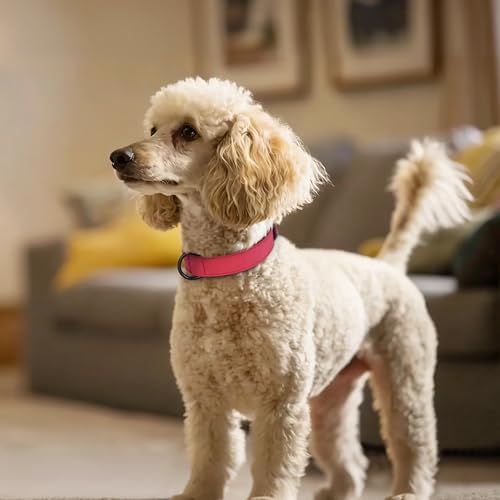 Image of Didog Soft PU Leather Dog Collar, Breathable Padded, Red, Neck 11-14 inch