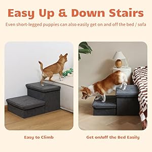   Foldable-Dog-StairsSteps-2-Tier-Pet-Steps-Storage-and-Adjustable-Steps-for-Small-Medium-Dogs-Pet-Steps-Storage-Stepper-for-High-Beds-Sofa-Pet-Dog-Cat