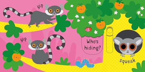 Slide and See Animals (Slide and See Books) - Image 3