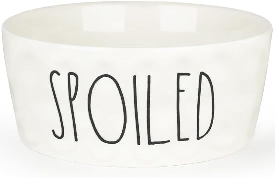 27OZ Ceramic Dog Bowl, 6 Inch Small Food Water Bowl, White