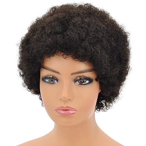 YENAS Afro Human Hair Wigs for Women Real Human Hairs Natural Color Virgin Hair Soft Human Hair Afro Wigs Good Bouncy Fluffy Wigs(10 Inches,Black 1B)