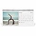 Beach Babes 2026 Desk Calendar