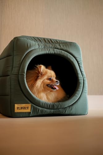 Cama iglu toca para cachorro e gato, cama 2x1 para cachorro ou gato com almofada, TAM. G