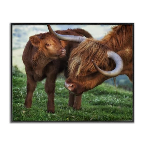 Longhorn Cow Nuzzling Calf Farmhouse, 16 x 20 Inch Framed Giclée Print