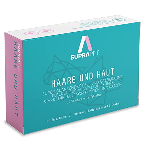 Zink Hund Die 15 besten Produkte im Vergleich Haustierratgeber Ratgeber