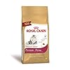 Ração para Gato Persa Royal Canin
