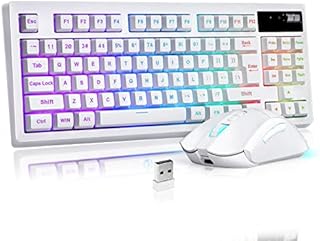 ZJFKSDYX C87 Wireless Gaming Keyboard and Mouse Combo, Waterproof 87 Key RGB Backlit Rechargeable Mechanical Feel Keyboard and Mute Mouse (White)