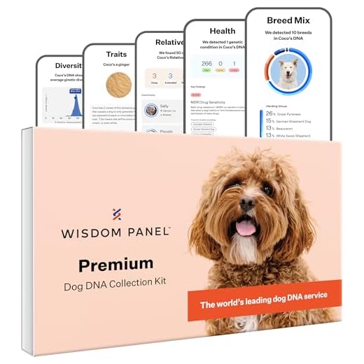 Wisdom Panel Premium: Most Comprehensive Dog DNA Test for 200+ Health Tests | Accurate Breed ID and Ancestry | Traits | Relatives | Genetic Diversity | Vet Consult | 1 Pack