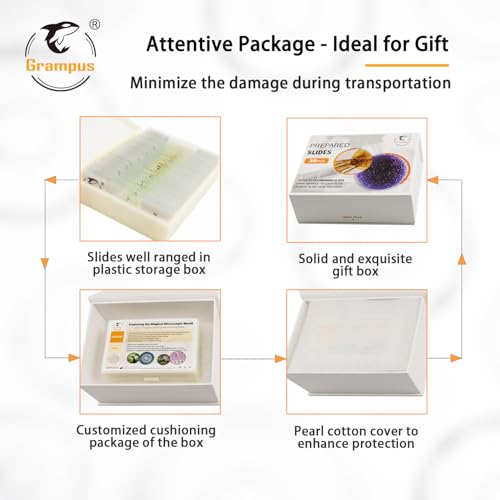 Image of 30 Prepared Microscope Slides with Specimens for Kids Students - Animals Plants Insects Microorganism, for Biological Science Lab, Children's Science Education, Homeschool