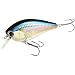 Lucky Craft BLCS110-270MSAS Blade