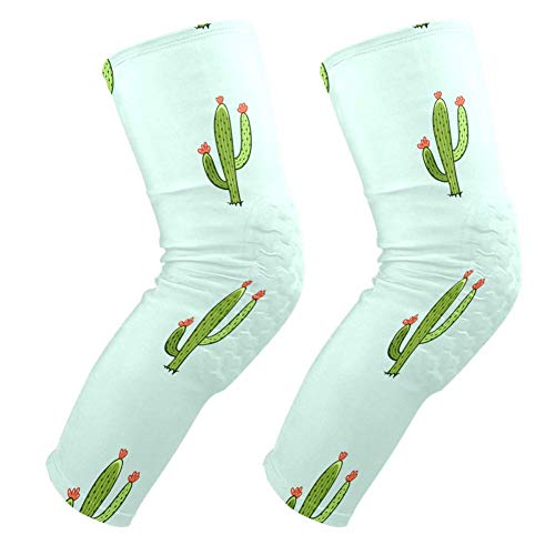 Genouillères de volley-ball et basket-ball cactus pour éviter les douleurs et chocs au genou