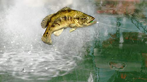 Image of Rapala Pro Bass Fishing 2010 - Playstation 3 (Renewed)