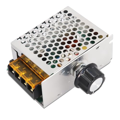 Regulador de Voltaje 220V Binghe AC 220V 4000W Regulador de