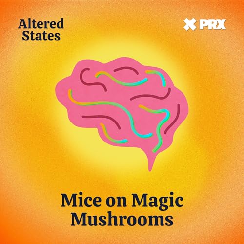 Mice on Magic Mushrooms