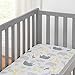 Carter's by DaVinci Colby 4-in-1 Convertible Crib with Trundle Drawer in Grey, Greenguard Gold Certified, Undercrib Storage