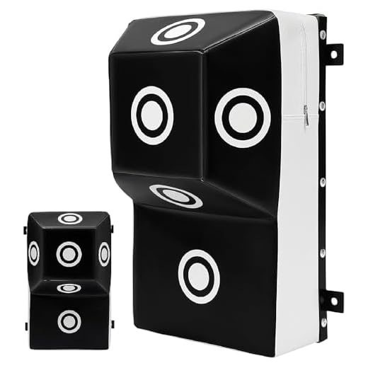 Wall Mounted Punching Bag