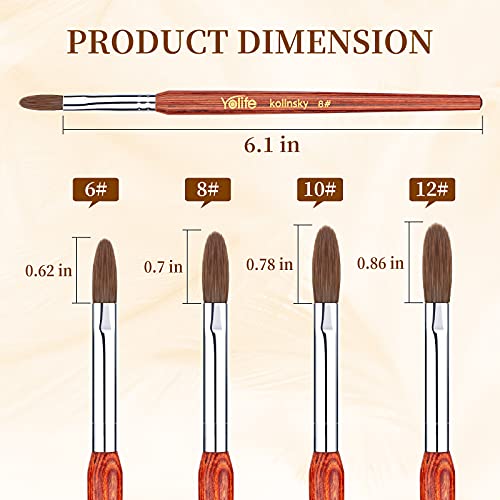 Yolife Acrylic Nail Art Brush Size 8, 100% Pure Kolinsky Sable Acrylic Nail Brush Set With Oval Crimped Red Wooden Handle Professional Manicure Pedicure For Diy Home Salon #TOP3