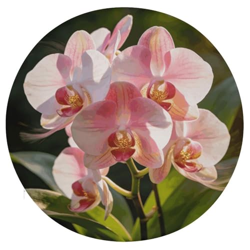 Cojín redondo de orquídea suave de 15.3 pulgadas para suelo 2