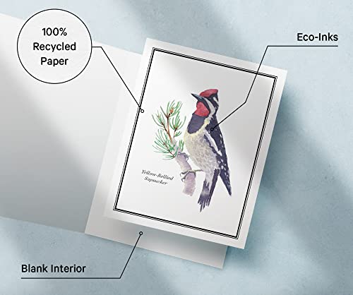 Image of Twigs Paper Birds of America Thank You Cards, 24 Blank Note Cards