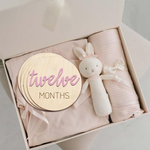 Image of Baby Monthly Milestone Markers Disc, Wooden 3D Milestone Cards for Photos, Baby Announcement Sign, 1-12 Months, wooden baby milestone sign (Pink)