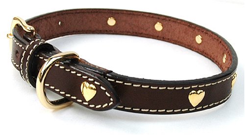 Amazon.co.jp: バーディ (BIRDIE) 101 ハートメタル首輪 サイズ30