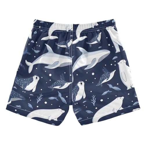 senya Whale Bear Winter Boys Swim Trunks Toddler Shorts Swimwear Boardshorts2