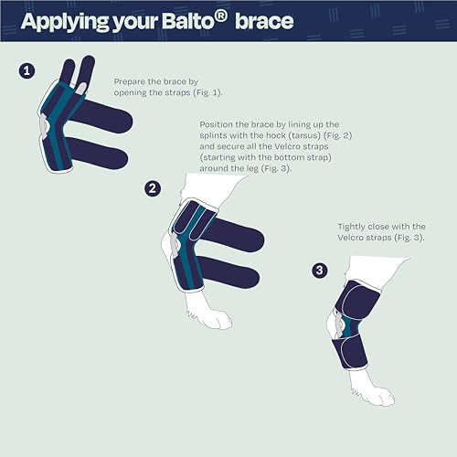 Image of Balto Hock Brace - Dog Ankle Brace - Brace with Aluminum Splints - Pre /Post Surgery Helps Support Arthritis and Unstable Joints - Back Leg Support (Extra Large)