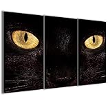 cuadros gatos amazon Elaboración artesanal con tintas ecológicas sin disolventes.
