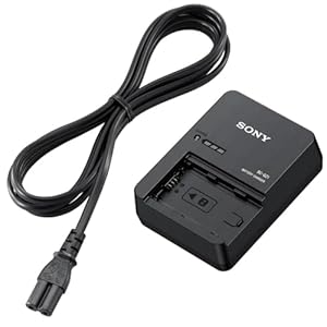 Sony BCQZ1 Z-Series Battery Charger, Black