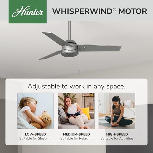 Image of Hunter Cassius, Outdoor or Indoor, Ceiling Fan, 44 inch, Matte Silver