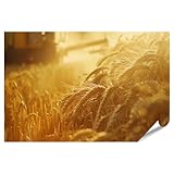 islandburner Prime XXL Bild Poster Wandbild eines aktiven Mähdreschers bei der Weizenernte auf dem Feld Esszimmer Landmaschinenhandel Premium Bilder Fotodruck