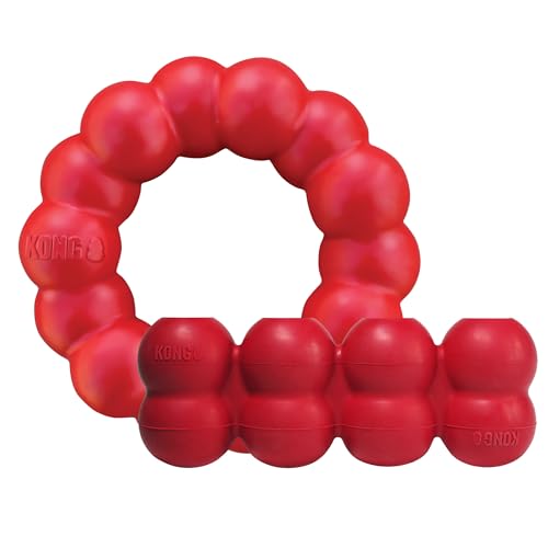 KONG Ring & Goodie Ribbon - Durable Rubber Treat-Dispensing Chew Toy for Dental Health - for Small Dogs