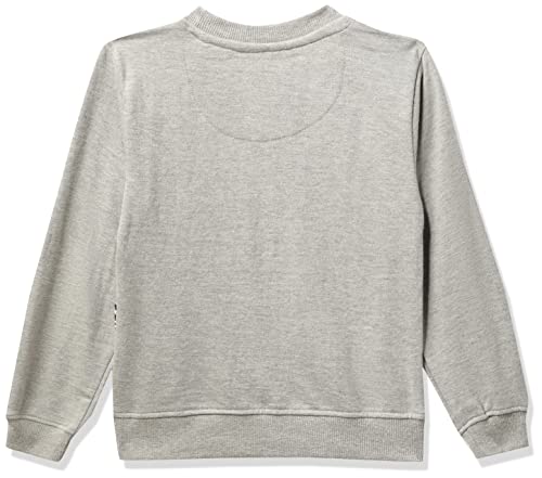 Image of U.S. POLO ASSN. Boys Cotton Turtle Neck Sweatshirt