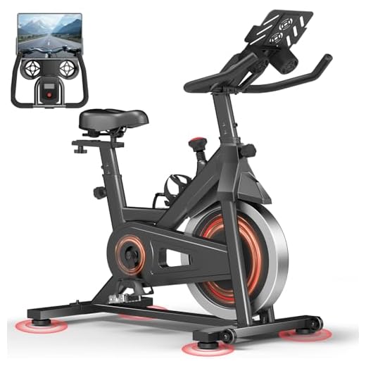 CURSOR FITNESS Silent Indoor Exercise Bike