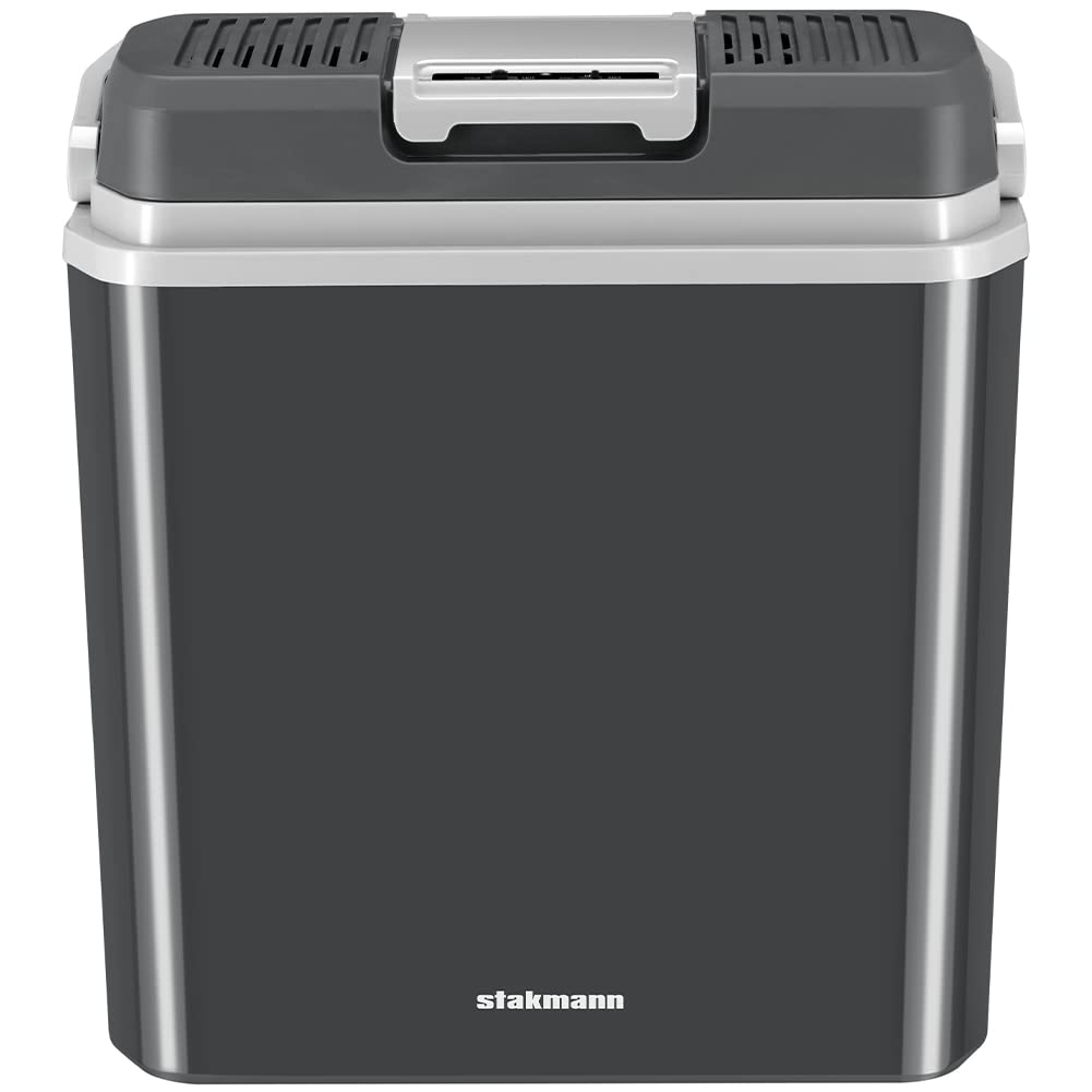 Frigorifero Elettrico Portatile 24L Mini Frigo 230V 12V Freddo Caldo per Auto Camper