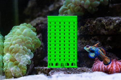 SubstrateSource Pod Hotel - Caja de criador de anfípodos de copépodos con impresión 3D para tanque de arrecife de agua salada o refugio, isópodo, 2 x 2 x 3.6, verde SubstrateSource Pod Hotel - Caja de criador de anfípodos de copépodos con impresión 3D para tanque de arrecife de agua salada o refugio, isópodo, 2 x 2 x 3.6, verde