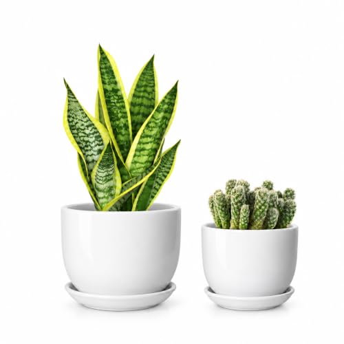YUFDA 6.7 + 5.5 Inch Ceramic Plant Pot with Drainage and Saucer