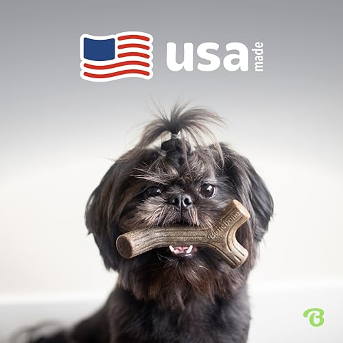 Image of Benebone Small 4-Count Dog Toys for Aggressive Chewers - Under 30 lbs, Small (Pack of 8)