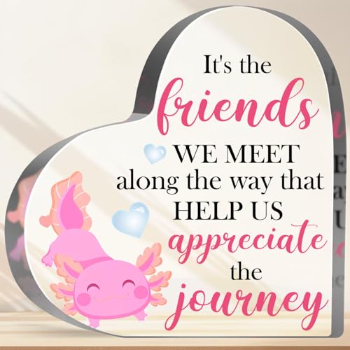 Axolotl Lover Gifts for Women Girls Friendship Keepsake Acrylic Gifts Inspirational Axolotl Decorative Acrylic Sign for Friend Coworker Office School Desk Shelf