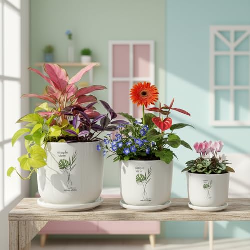 Image of Xtore Heritage Ceramic Planter Set with Drainage Trays | Pro-Decal Style Pots for Home & Balcony Decor - (Set of 3, White, Planter ONLY)
